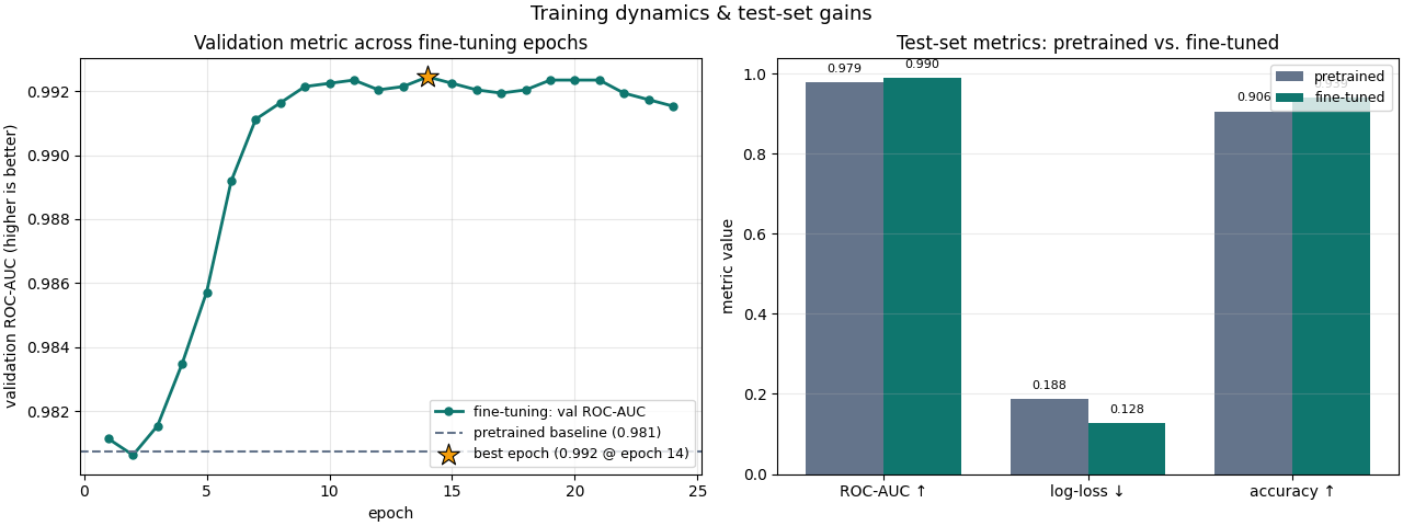 Training dynamics & test-set gains, Validation metric across fine-tuning epochs, Test-set metrics: pretrained vs. fine-tuned