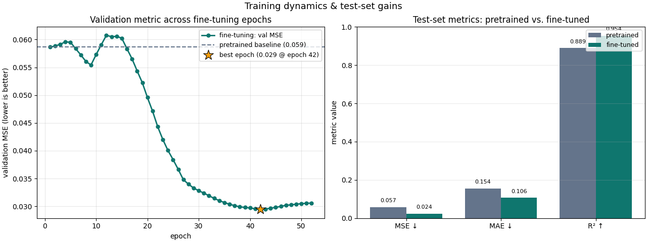 Training dynamics & test-set gains, Validation metric across fine-tuning epochs, Test-set metrics: pretrained vs. fine-tuned